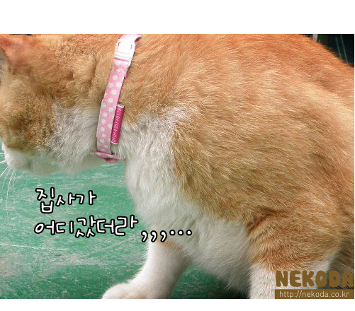 그루밍 이미지