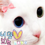 YOU_JIN