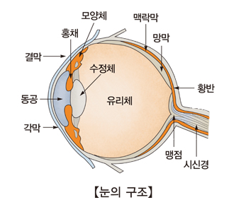 눈비빔